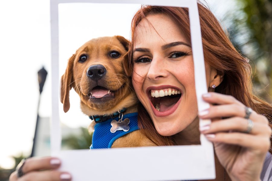 Happy woman with his Labrador puppy in Miami Beach.