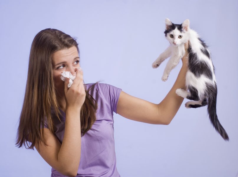 girl is allergic to cats